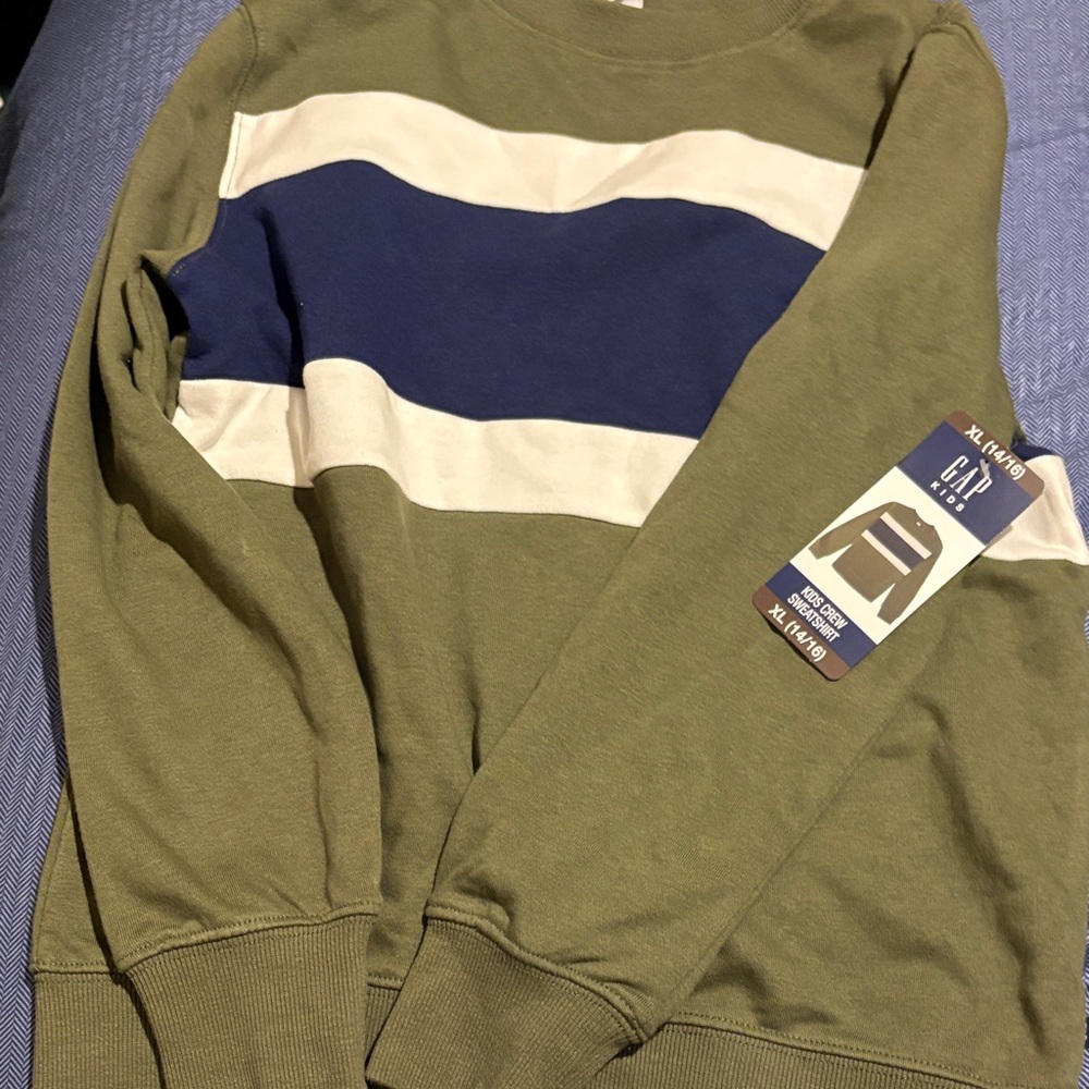 GAP Boys Green and Blue Crewneck Sweater